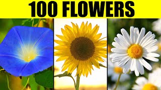 FLOWERS of the World  Names of 100 Different Types of Flowers [upl. by Liman933]