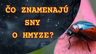 SNÁR HMYZ a CHROBÁKY v sne ✨Čo znamená čierny chrobák či veľa hmyzu vykladsnov onlinesnar sen [upl. by Darnall620]