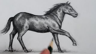 How to Draw a Horse Step by Step [upl. by Airelav406]