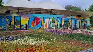 Floriade 2023 Canberra BestOfFlowersTV NatGeo discovery TravelGuidesAU australia flowers [upl. by Hammel]