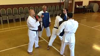 Goju Ryu Karate  8 Move Kata with Sensei Damion Wood [upl. by Gnart]