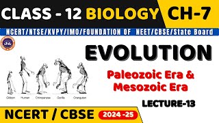 EVOLUTION I LECTURE13 I PALEOZOIC ERA amp MESOZOIC ERA I CLASS 12 I NEETCBSEState Board [upl. by Sonya]