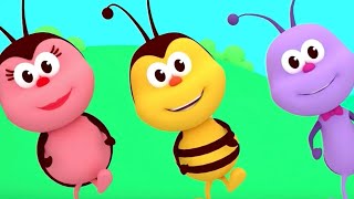 The Hokey Pokey Dance  Songs For Kids amp Nursery Rhymes  Boogie Bugs [upl. by Esme]