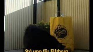 Stå upp för Elfsborg [upl. by Jarad]