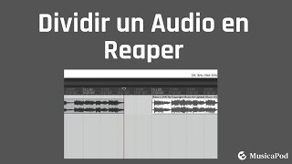 Como Dividir un Audio en Reaper [upl. by Absa]