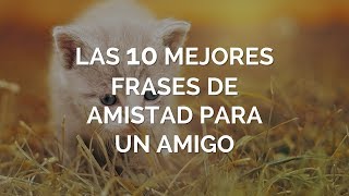 Las 10 Mejores Frases de Amistad Para Un Amigo [upl. by Rodge]