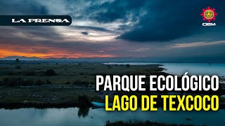 Parque Ecológico Lago de Texcoco por la justicia ambiental y social [upl. by Jennica]