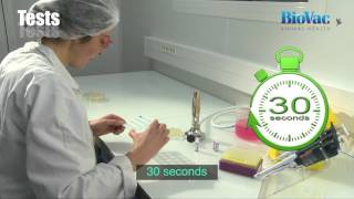 How to serotype bacteria by Rapid Plate Agglutination Test [upl. by Avirt]