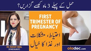 Pregnancy First Trimester In Urdu  Hamal Ke Pehle 3 Months  Pregnancy Week By Week  1st Trimester [upl. by Natelson]