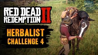 Red Dead Redemption 2 Herbalist Challenge 4 Guide  Pick 5 mushrooms and feed them to your horse [upl. by Obau80]