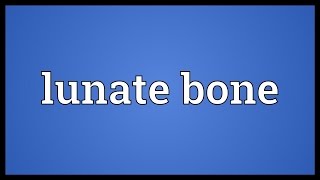 Lunate bone Meaning [upl. by Anyahs322]