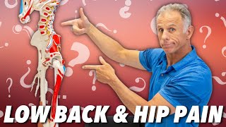 Low Back amp Hip Pain Is it Nerve Muscle or Joint How to Tell [upl. by Eradis378]