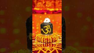 Har Har Mahadev 🕉️🙏🌿 ytshorts shiv bholenath mahakal महादेव shorts reels popular viral [upl. by Ursala]