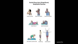 Brachial plexus injury Rehabilitation exercises [upl. by Bogoch]