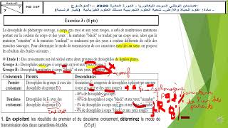 2020 bac غادي تعلم تجاوب فالوطني  Exercice de lexamen  les lois statistiquesnational pc 2020 [upl. by Sapers]