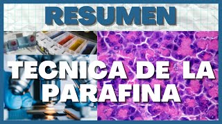 Tecnica Histologica Preparación del Tejido 7 Pasos [upl. by Anec]