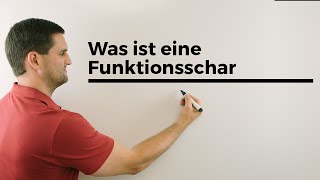 Was ist eine Funktionsschar Teil 2 Parameterfunktion Kurvenschar  Mathe by Daniel Jung [upl. by Chara60]