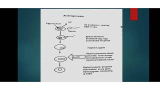 Choromosome Manipulation  Gynogenesis Androgenesis Triploid and Tetraploid fish productionClones [upl. by Kcirdnekel970]