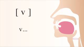 v  voiced labial non sibilant fricative [upl. by Lennie79]