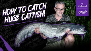 How to catch big Catfish in the UK  Albans Lakes  Agitator Catfish Rods  Wels Catfish [upl. by Irina]