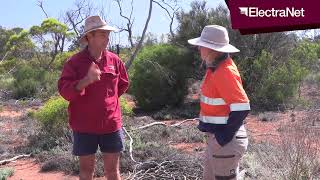 ElectraNet landholder engagement  John Read and Ecological Horizons [upl. by Esinahs435]