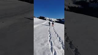 Schneeschuhtour im Chiemgau chiemgau schneeschuhwandern schneeschuhe [upl. by Laban]