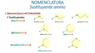 Sustituyente amino [upl. by Aynuat]