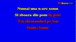 MIRABELA DAUERIoane Iane Negativ Karaoke [upl. by Tabina]