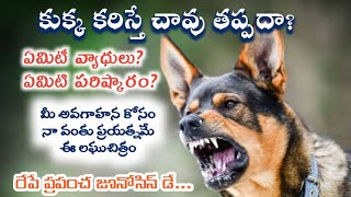 Importance of Zoonosis Day  పెంపుడు జంతువులతో ప్రాణ సంకటమా [upl. by Aehtrod]