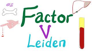 Factor V Leiden  Hypercoagulability  Bleeding and Coagulation Disorders  Hematology [upl. by Devine]