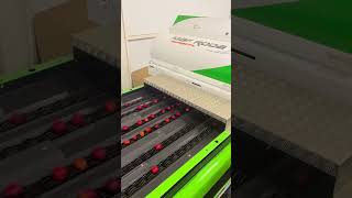 Meyve boylama makinesi apple sorting grading machine fruit elma mafroda egemas [upl. by Caspar14]