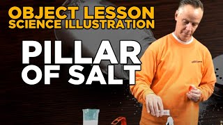 Object Lesson  Pillar of Salt sodium acetate [upl. by Ardnauqal]