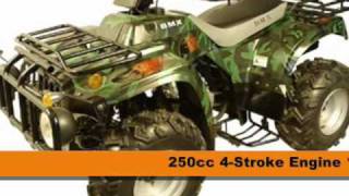 250cc Utility Quad ATV For Sale [upl. by Matelda]