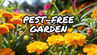 10 Plants to Control Pests in Your Garden Naturally STEPS INCLUDED [upl. by Ansilme]