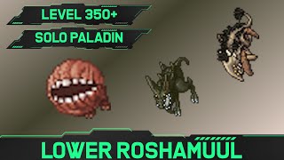 Lower Roshamuul  Solo Paladin Hunt 350 [upl. by Nawk649]