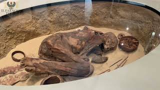 Mummia di Gebelein Museo EgizioGebelein predynastic mummy [upl. by Iggie]