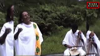 Ilfinash Qannoofi Hirphaa Gaanfuree old music 2023 New release Oromo music 2023 Ilfinesh amp Hipha [upl. by Anerdna]