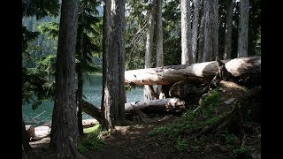 FS 75 to Lonesome Lake Greenwater Washington [upl. by Inihor]