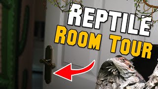 CRAZY NEW REPTILE ROOM TOUR  We are back [upl. by Terrel906]