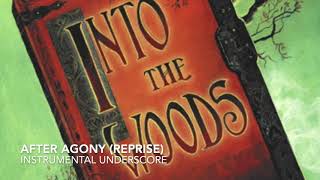 After Agony Reprise  Into the Woods  Instrumental Underscore [upl. by Akeem]