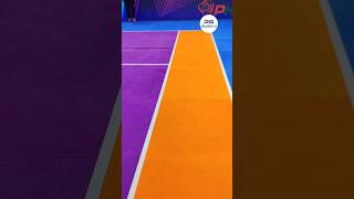 Pro Kabaddi Mat Overview  2024  Price prokabaddi [upl. by Airetas]