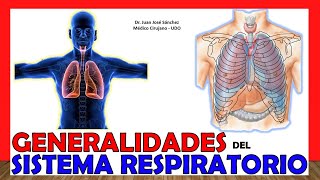 🥇 APARATO RESPIRATORIO en 18 Minutos ¡Fácil y Sencillo [upl. by Orlosky]