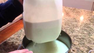 How to make heavy cream or Half and half from Raw milk [upl. by Iilek693]