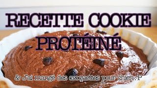 RECETTE COOKIE PROTÉINÉ amp Jai testé les croquettes pour chien [upl. by Haakon]