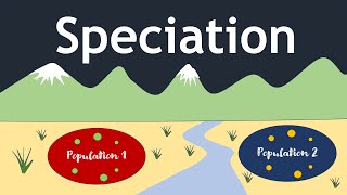 Speciation The Evolutionary Process  Basic Science Series [upl. by Enyedy]