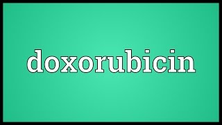 Doxorubicin Meaning [upl. by Roos]