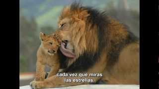 Born Free 1966 Matt Monro Subtitulada al español [upl. by Akenal]