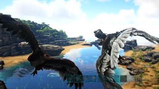 Episode 101 How to Use an Argentavis  Ark Ragnarok Survival Guide [upl. by Nareik]