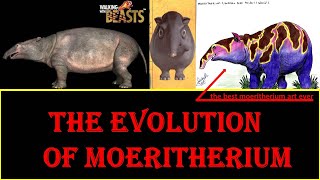 the evolution of Moeritherium [upl. by Amund]