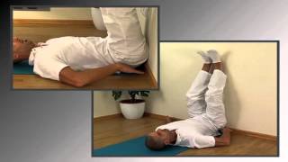 Stretching e postura  SEGMENTO DORSO LOMBARE 26 [upl. by Sassan]